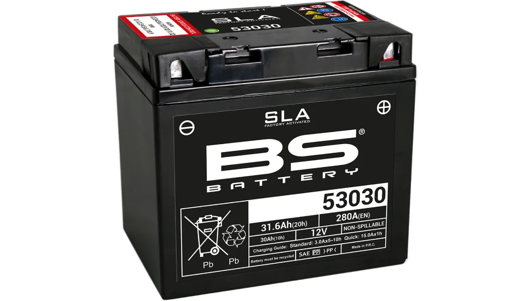 BS Battery: Factory Activated (AGM)