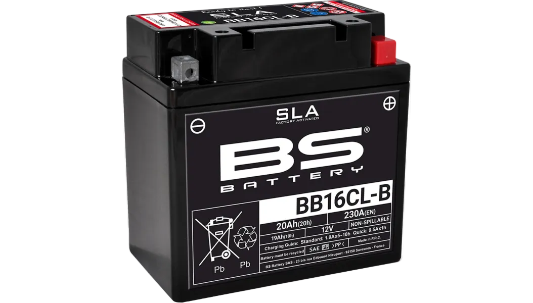 BS Battery: Factory Activated (AGM)