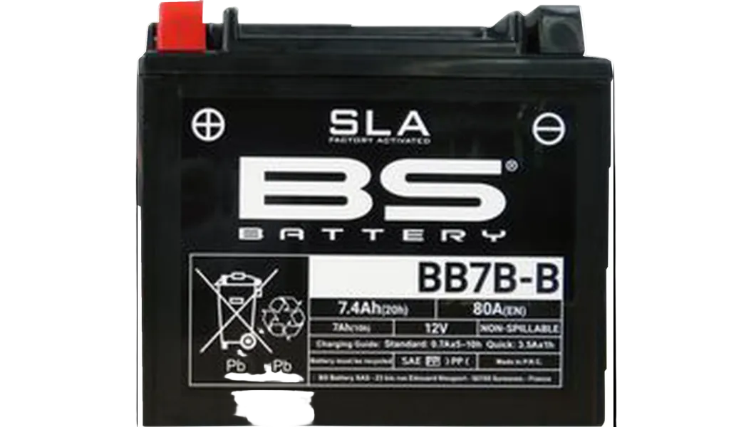 BS Battery: Factory Activated (AGM)