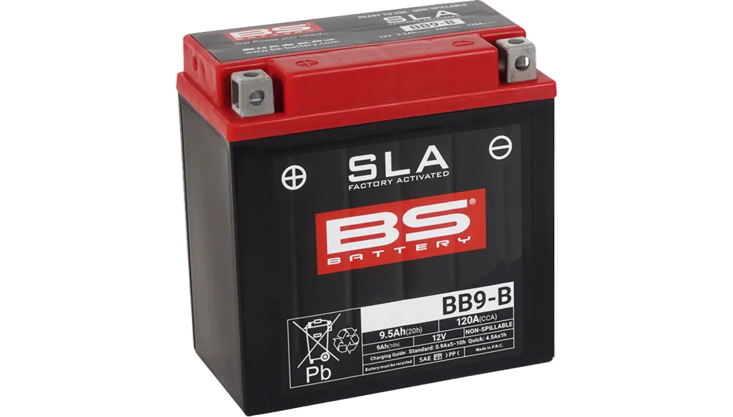 BS Battery: Factory Activated (AGM)