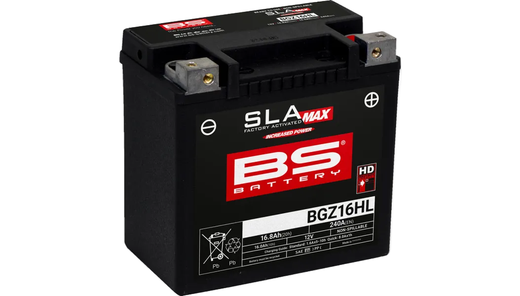BS Battery: Factory Activated (AGM)