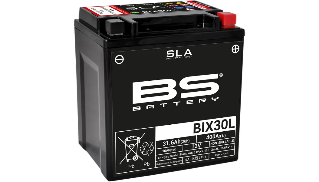 BS Battery: Factory Activated (AGM)