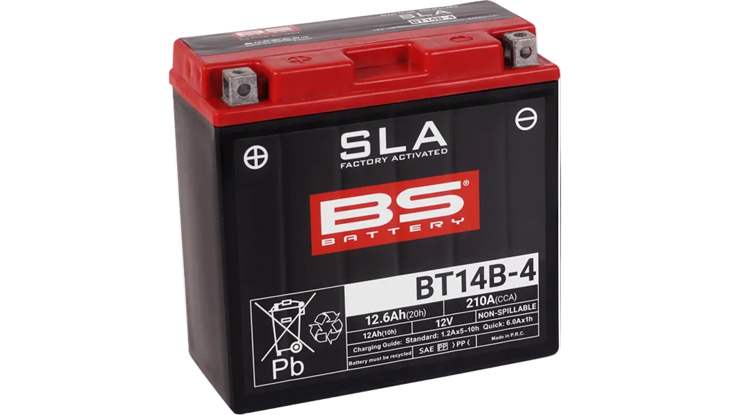 BS Battery: Factory Activated (AGM)