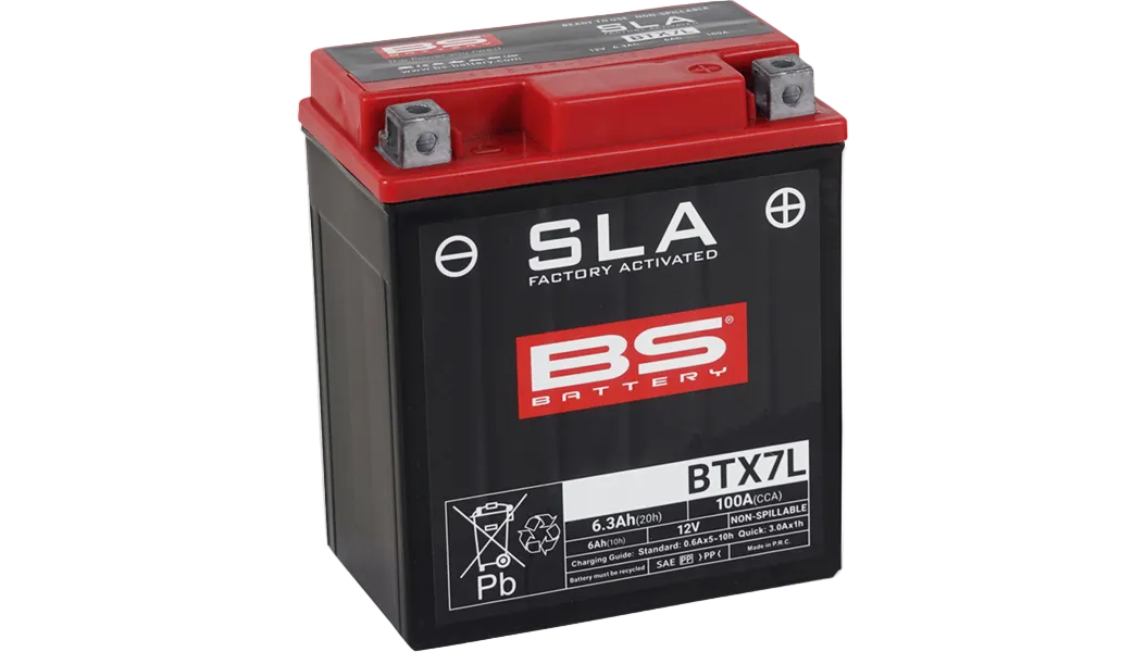 BS Battery: Factory Activated (AGM)