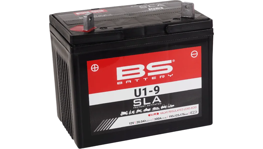 BS Battery: Factory Activated (AGM)